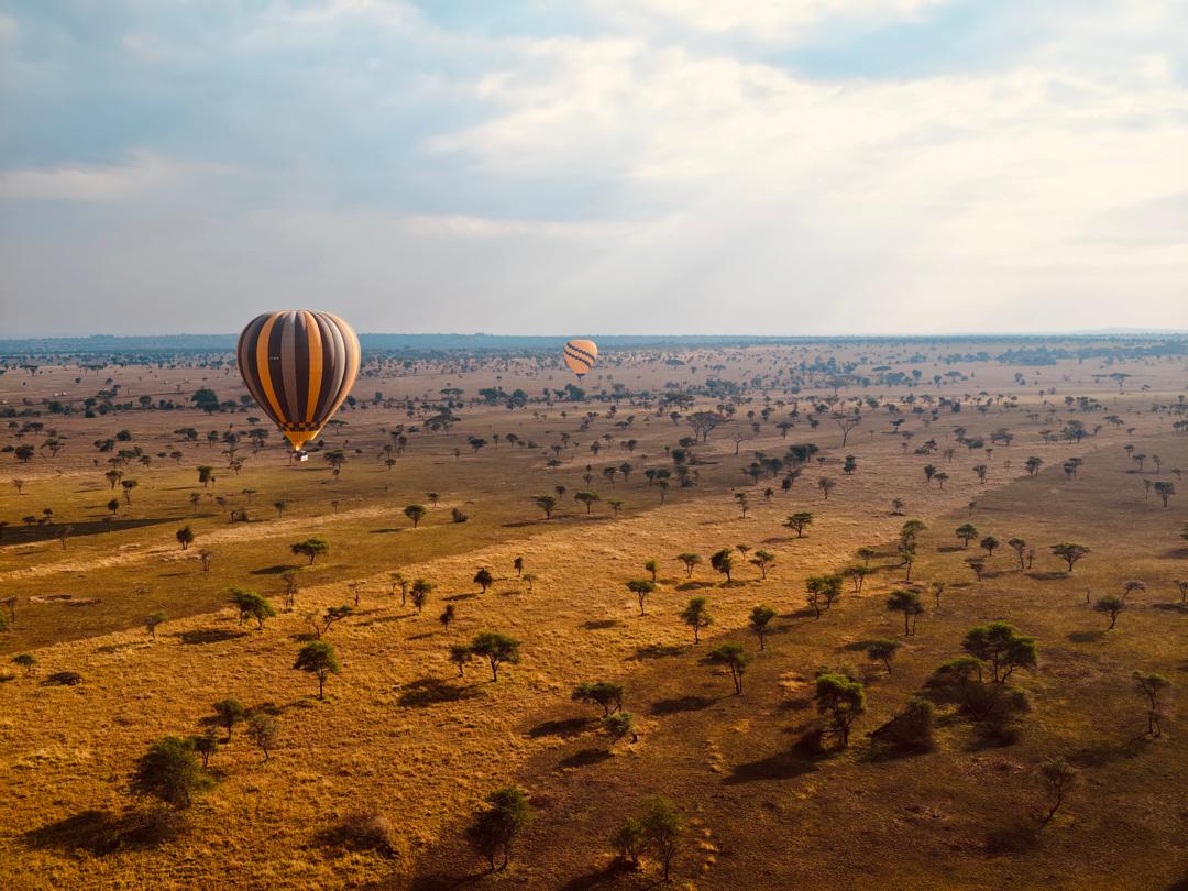 Lake Manyara National Park - Tree-climbing lions and Rift Valley scenery